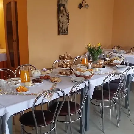 Tulipan * Закопане